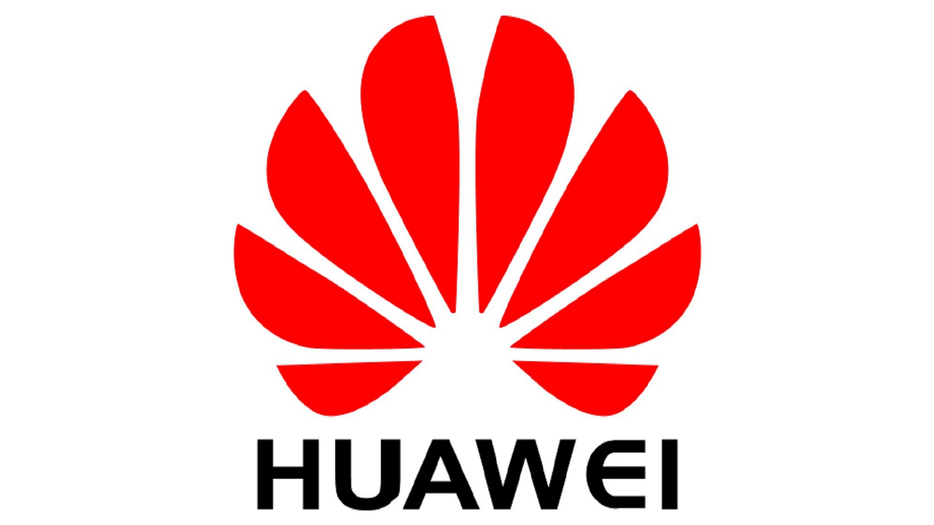 Huawei com. Huawei логотип. Эмблема Huawei без фона. Логотипа Хуавей белый. Хуавей лого на белом фоне.